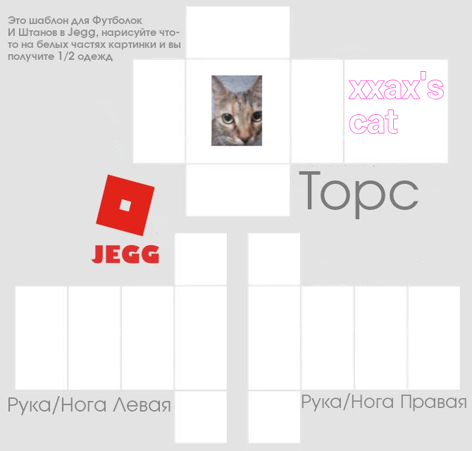 xxax's cat