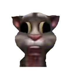 Котик томос